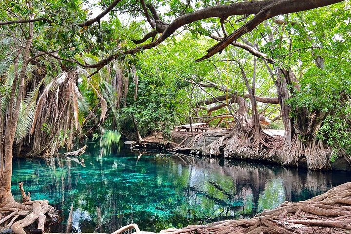 Kikuletwa Hot Springs with Aika Adventure & Safari